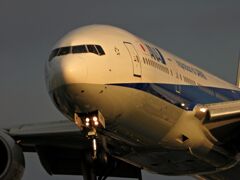 ANA 1320