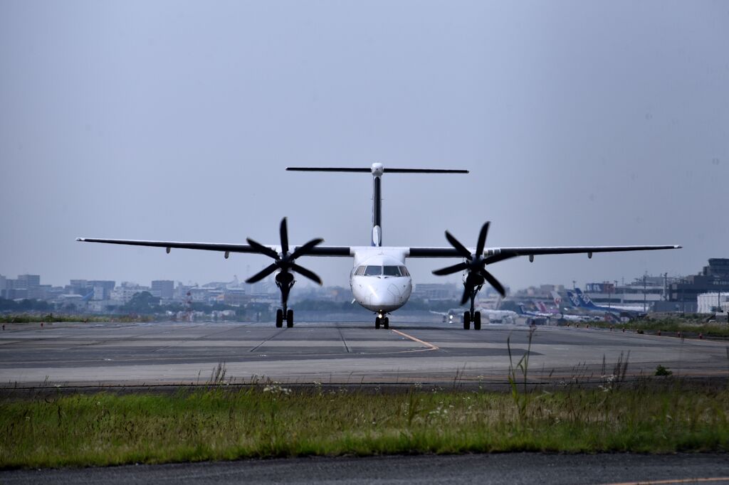 ANA 880