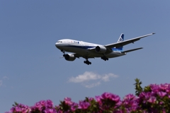 ANA 1275