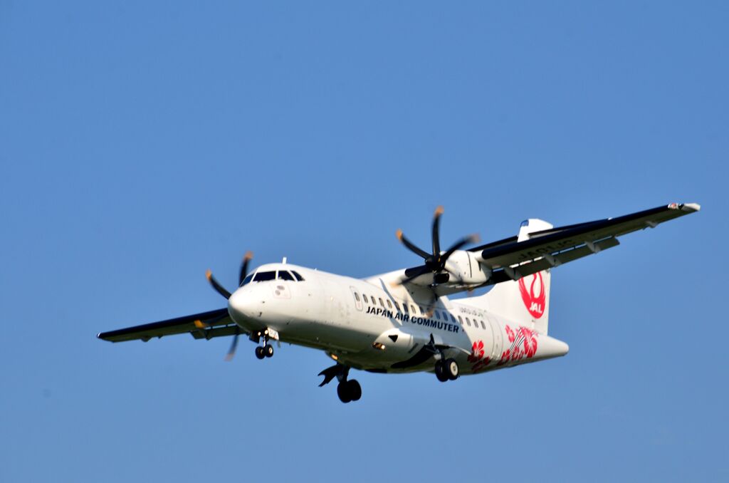 JAL 255