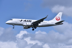 JAL 667