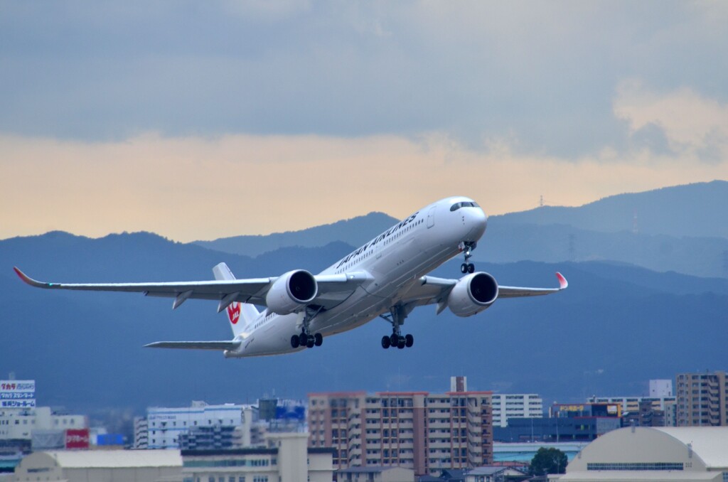 JAL 561