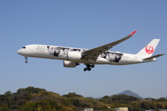 JAL A350 「嵐」 01