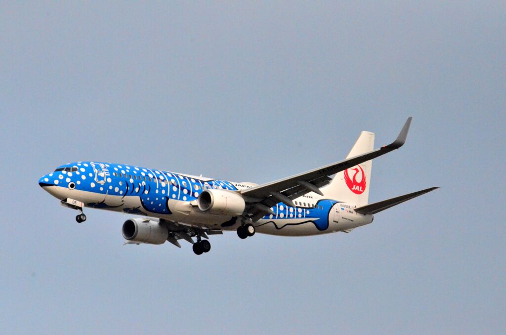 JAL 77