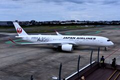 JAL 703