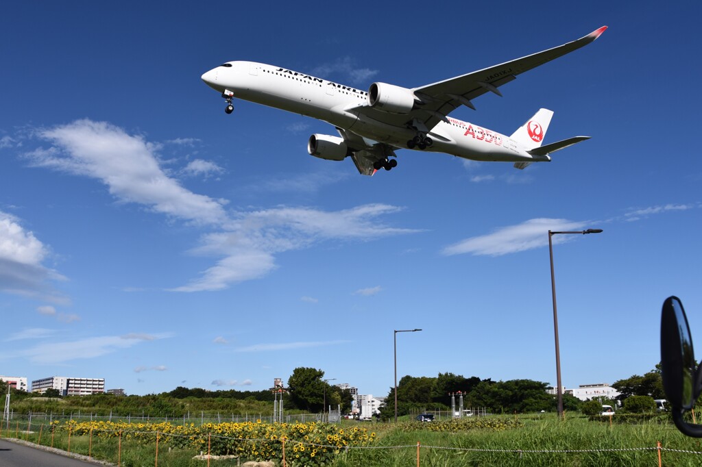 JAL 1252