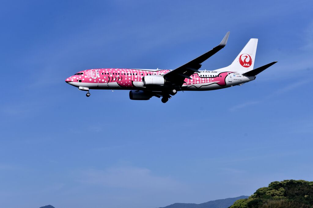 JAL 822