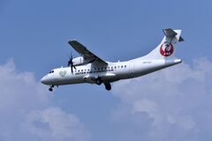 JAL 1011