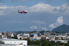 「つまずき気にしちゃいけないよ」　PEA353