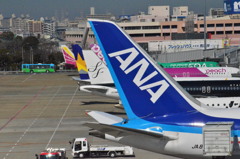 ANA 93