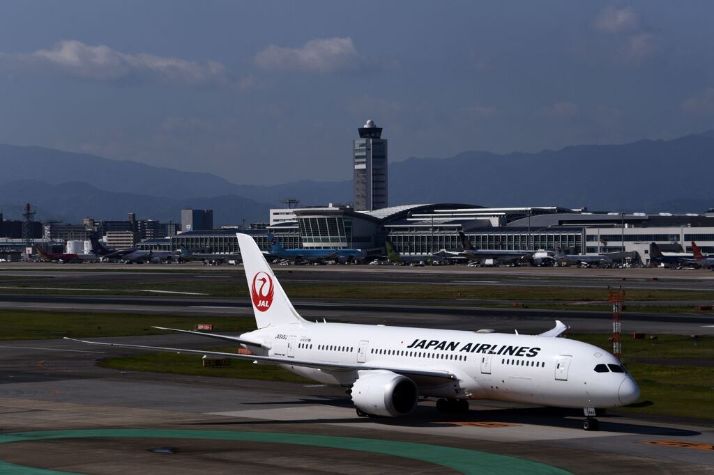 JAL 1313