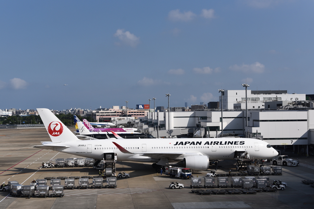 JAL 1250      (JA14XJ)