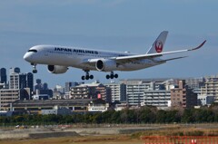 JAL 386