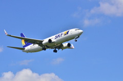 SKY 133