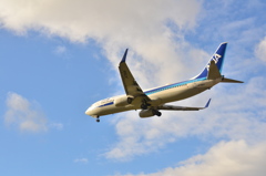 ANA 369