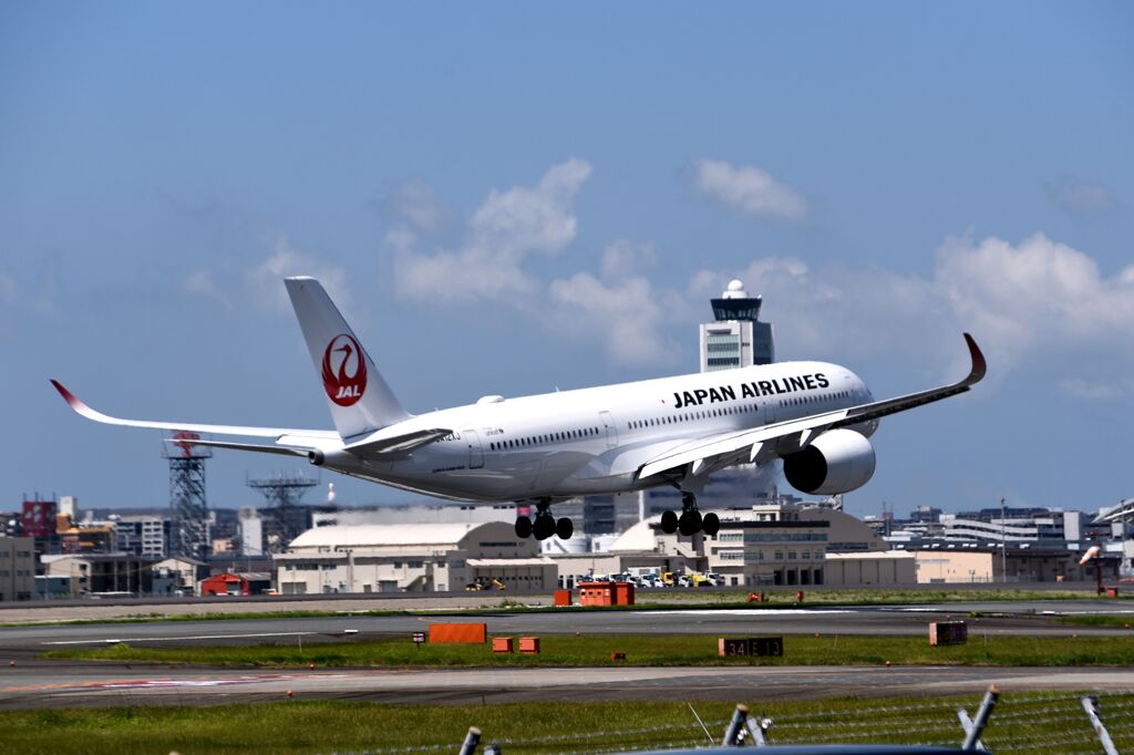 JAL 1262