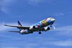 SKY 239