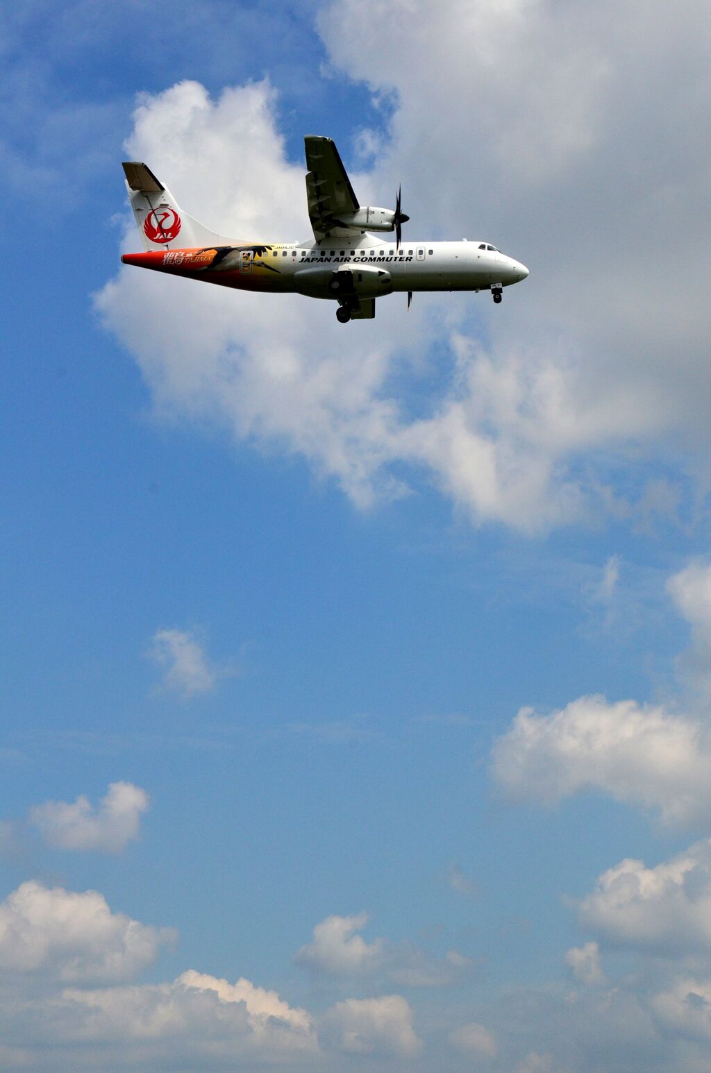 JAL 283