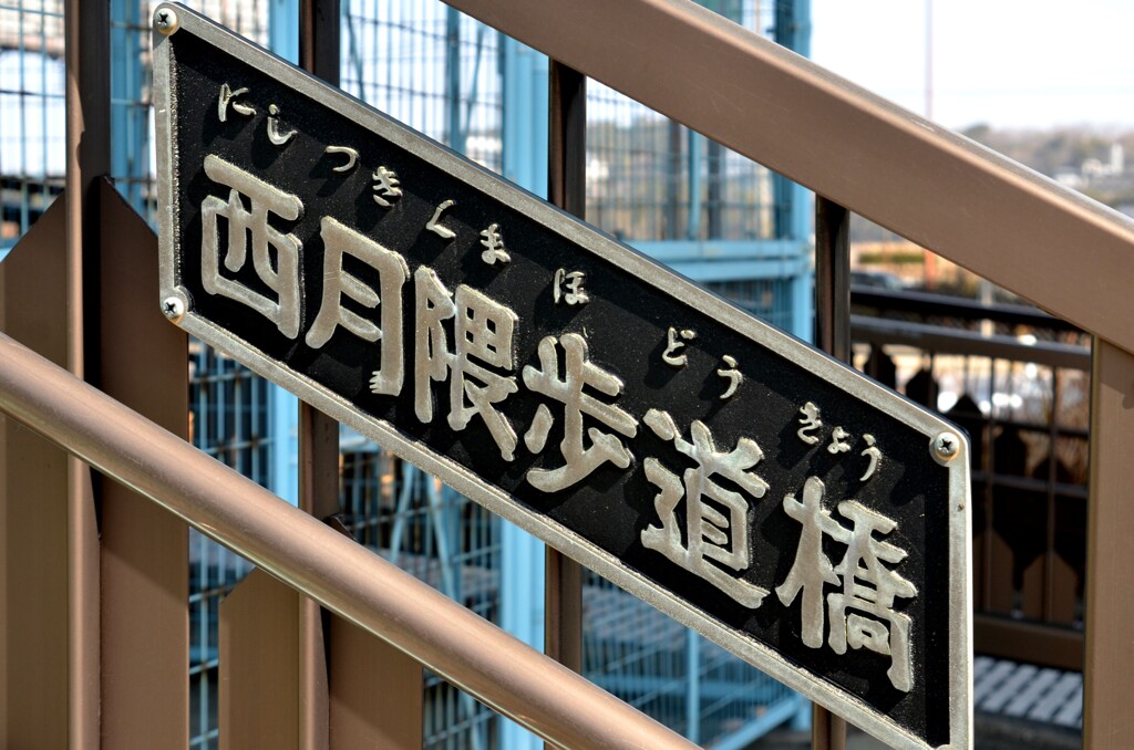 忘れな草　51  「ヒコ撮り場　2022」