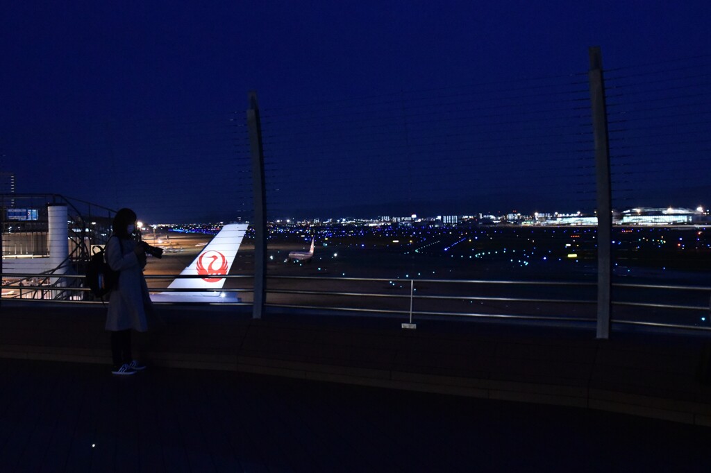 JAL 1272「ヒコ撮り女子」