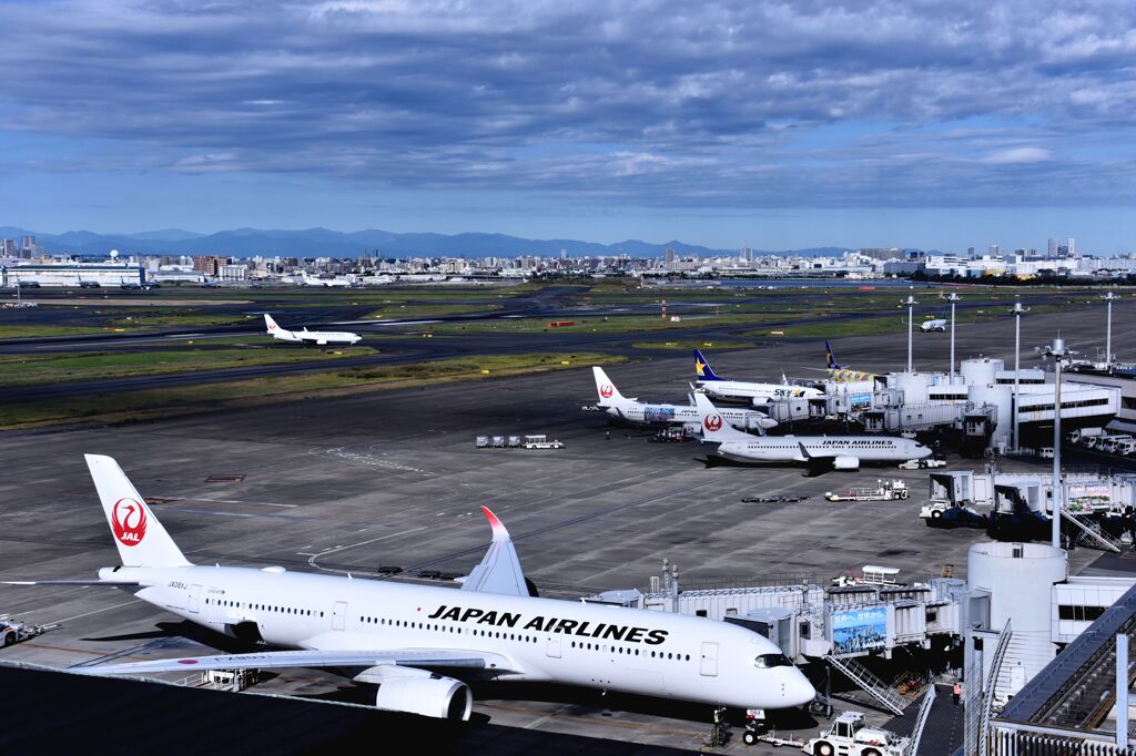JAL 1081