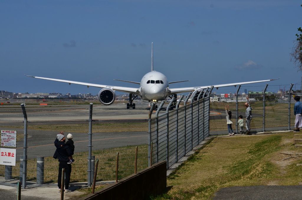 JAL 565