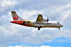 JAL 502