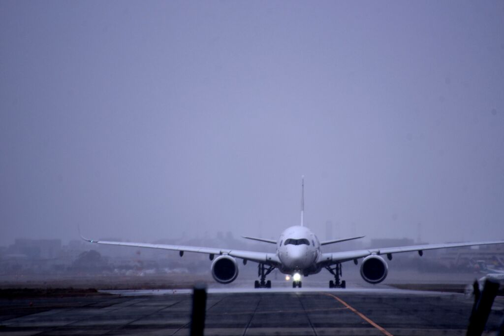 JAL 1097    「寒中お見舞い申し上げます」