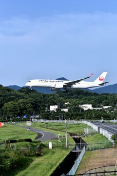 JAL 653