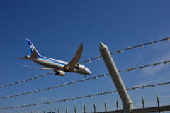 ANA 451