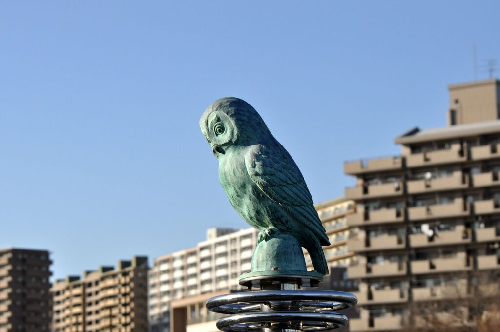 悩めるふくろう