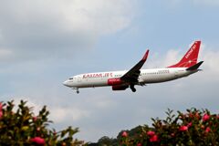 「知ったあの夜は　袂’（たもと）がぬれる」（NO 1730）