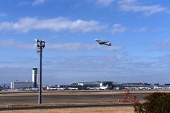 JAL 1274