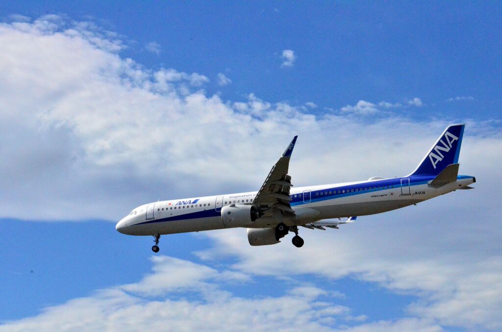 ANA 104