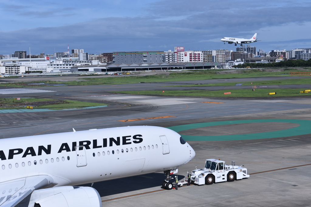 JAL 965