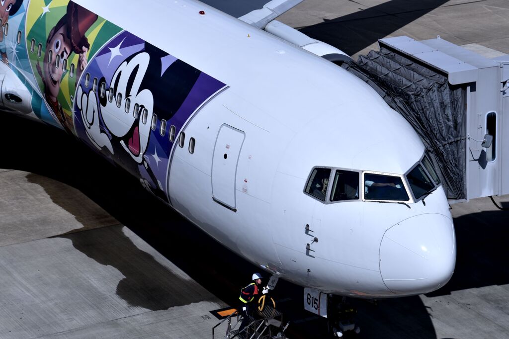 JAL 962