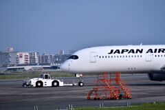 JAL 613
