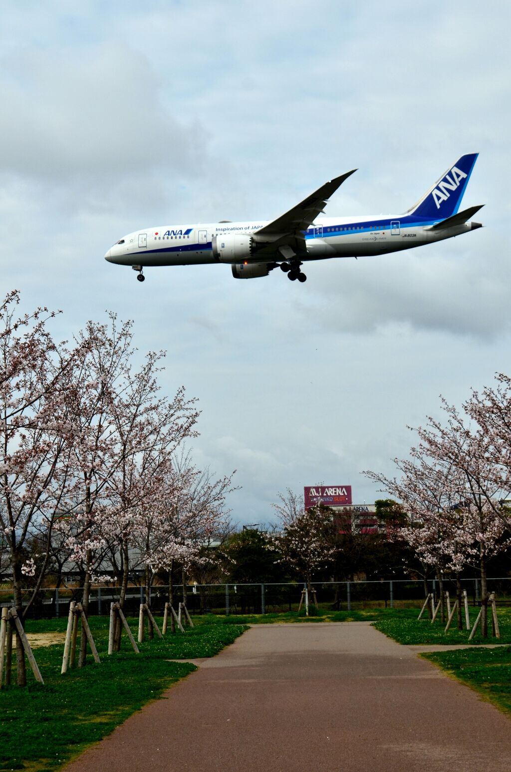 ANA 480
