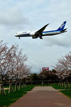 ANA 480