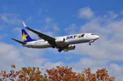 SKY 119