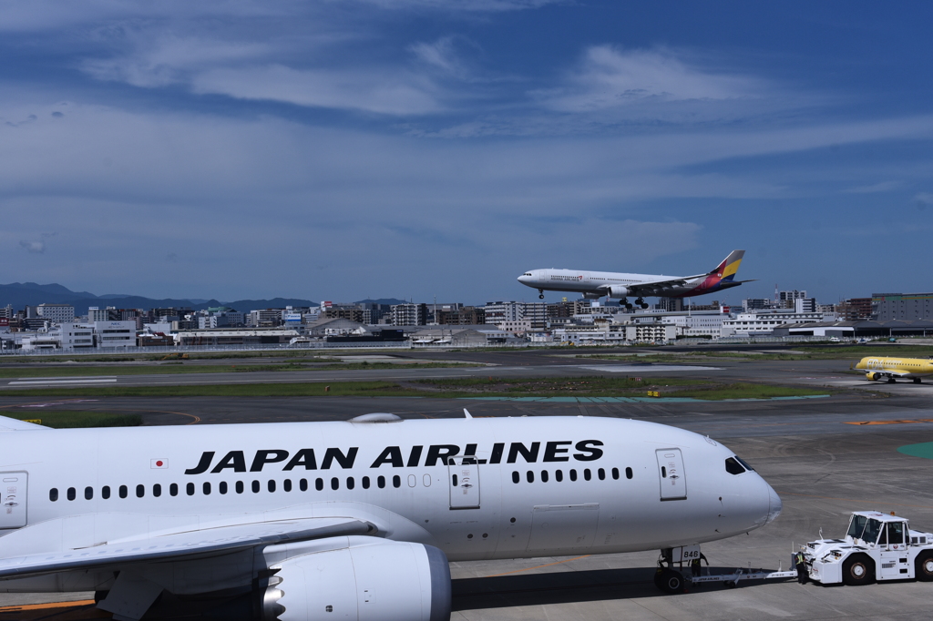 JAL 992