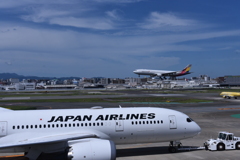 JAL 992