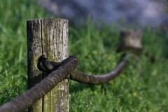 「人生模様」その十六　「縁」