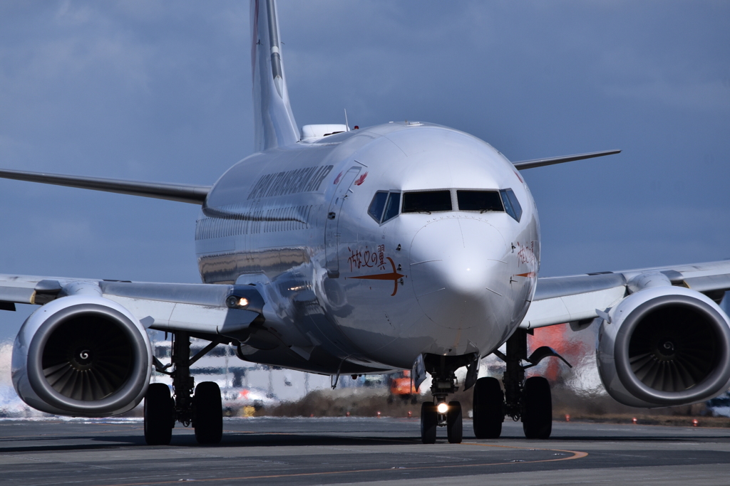 JAL 1169
