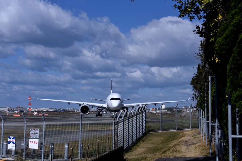 JAL 1096