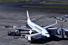 JAL 1077