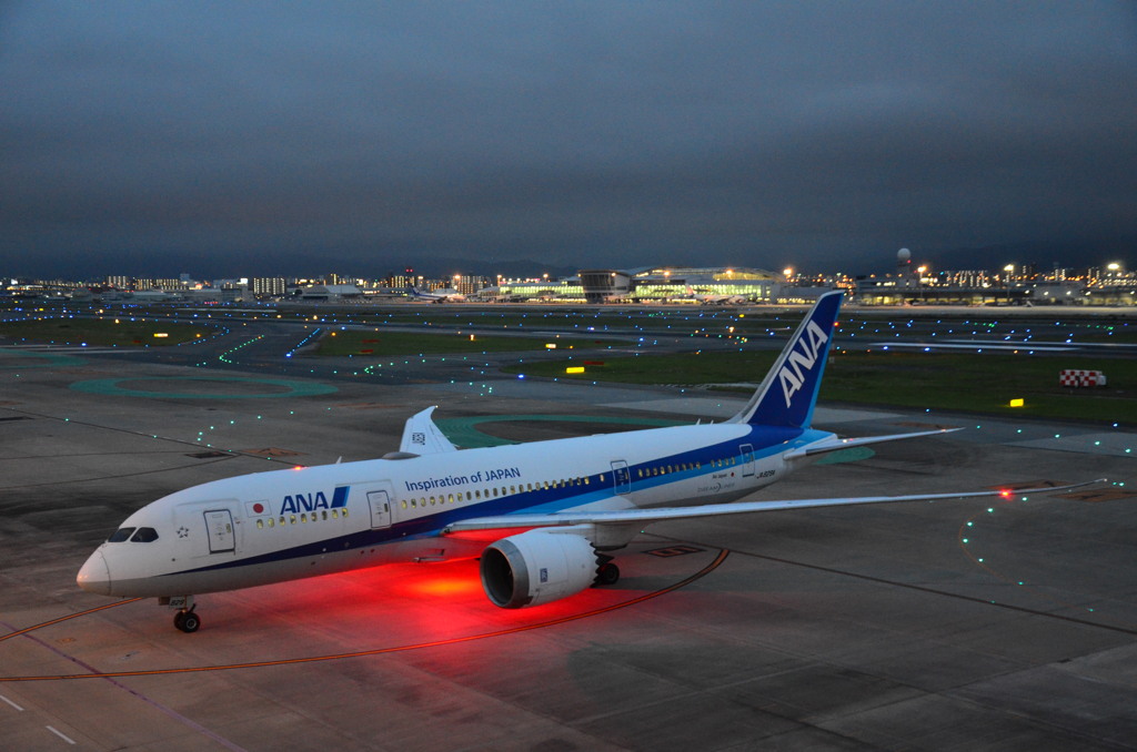 ANA 366