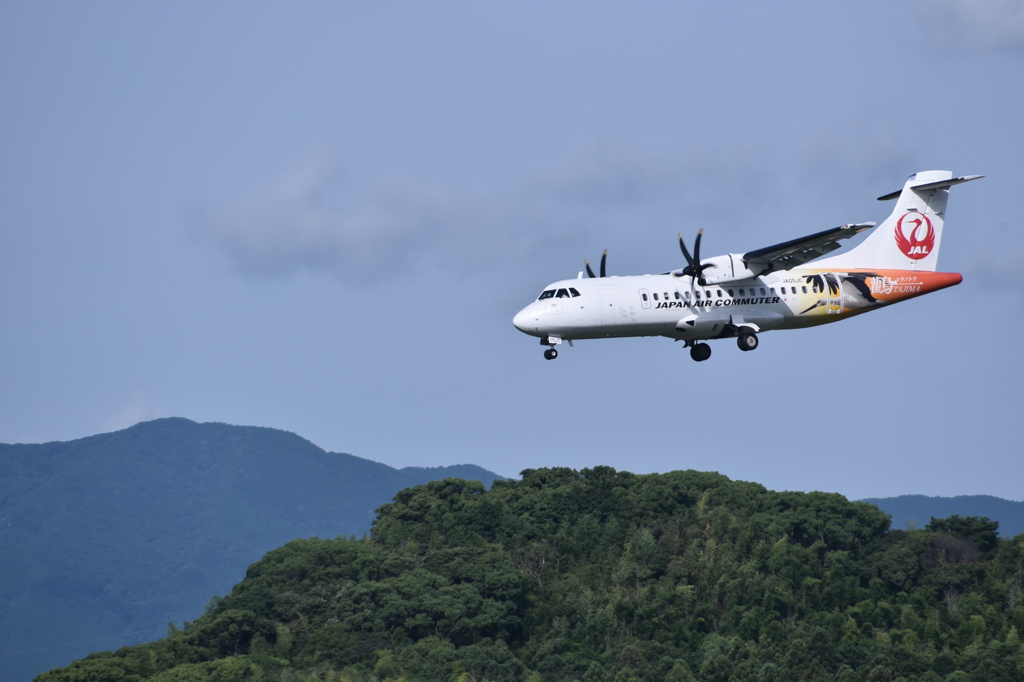 JAL 653