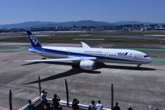 ANA 520