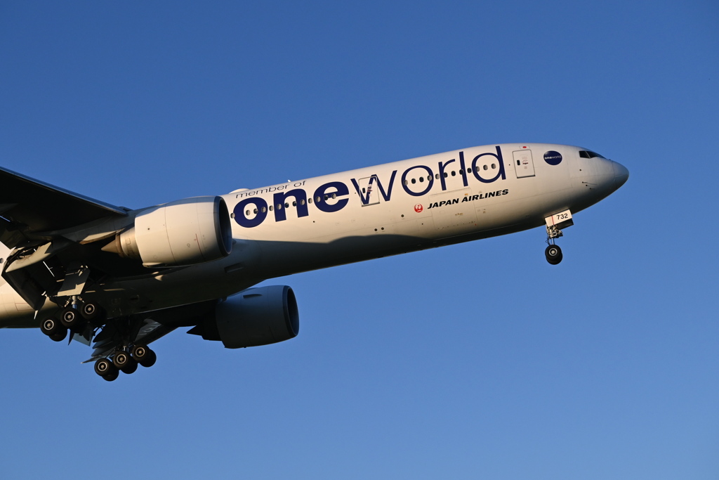 JAL 1343
